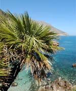 4 agenzie nella gara media da 15 mln per la Promozione Turistica della Sicilia