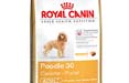 Royal Canin comunica con Cohn & Wolfe
