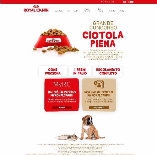 clicca per ingrandire