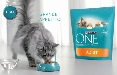 Purina One torna in tv con Publicis per promuovere il Programma 3 Settimane