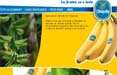 Chiquita Italia apre il suo spazio sulla rete 