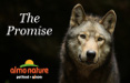 'The Promise' di Almo Nature e Gabriele Salvatores, in anteprima a marzo nelle sale del nuovo circuito cinema Rai Pubblicità e Uci Cinemas
