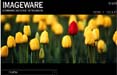 Prosolvia-tech sceglie Imageware per la comunicazione