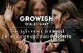 Online la nuova Growish: la prima startup che permette di raccogliere denaro sul web tra amici