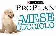 Purina è on air con lo spot per la IV Edizione de Il Mese del Cucciolo e la firma creativa di Linea ATC