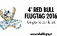 Initiative pianifica la campagna che invita tutti all'evento “Red Bull Flugtag”. Creatività di Kastner & Partners