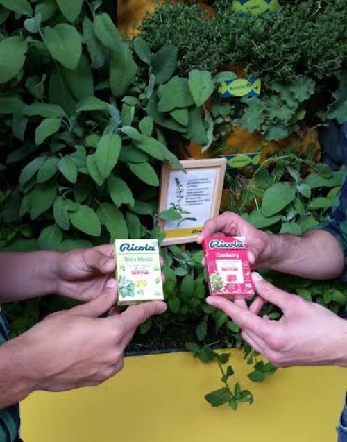 clicca per ingrandire