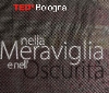 TEDxBologna 2014 lancia una call per trovare artisti di talento