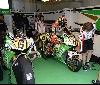 Il Mugello si veste di verde: look total brand Linear per il team Lcr Honda