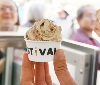 Gelato Festival 2014 è in tour in Italia. Tappe anche in Europa