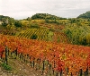 Il Friuli Venezia Giulia e Roma al top delle mete turistiche 2016 secondo Lonely Planet