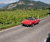 Alla scoperta dei tesori della Franciacorta con Prodea Group
