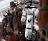 Fieracavalli 2015 al via: passione equestre non stop per quattro giorni