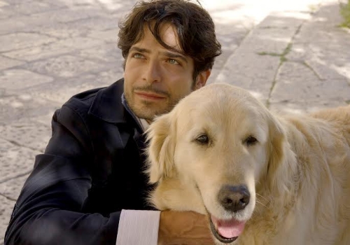 clicca per ingrandire