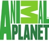 Animal Planet 'si spegne' per un giorno. La protesta è contro l'estinzione delle specie animali
