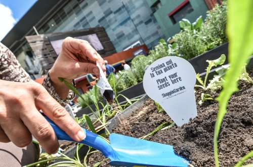 clicca per ingrandire