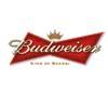 Torna a marzo il Budriders’ River Jump