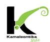 Kamaleontica Style nella moda e negli eventi