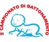 Al via il 2° Campionato di Gattonamento con Lysoform, Huggies e Boomerang 