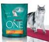 Al via il concorso 'Protagonista Purina ONE 2007' che porta il tuo pet in Tv