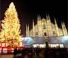 Un albero di Natale IGPDecaux in piazza Duomo a Milano 