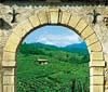 Arriva la Primavera del Prosecco Doc