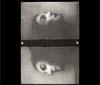 REDA promuove le opere di Omar Galliani