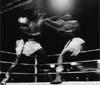 Opi 2000 organizza la boxe al Palalido di Milano
