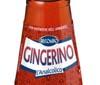 Gingerino sponsor di 'Live Concert for Road Accident Victims'