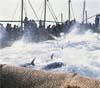 North Sails main sponsor della mostra di Folco Quilici