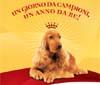 Royal Canin sponsor dell'Esposizione internazionale canina