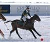 Il Cristallo Palace Hotel & Spa partner di Cortina Winter Polo Audi Gold Cup 2009