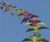 Ritorna l'evento 'Coloriamo i cieli'
