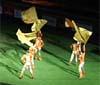 Una magica serata per la Dubai World Cup 2009 con Filmmaster Events