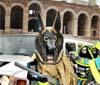 Sbarco alieno all’Arena di Verona, l’esercito di Ramses invade piazza Bra