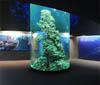 Un nuovo allestimento mediterraneo nel mondo AcquarioVillage