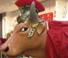 A Romaest le 'mucche d’artista' di CowParade 