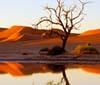 AdventurAfrica, team building e incentive emozionali