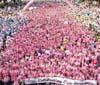 Gruppo Natuzzi sponsor di 'Komen Race for the Cure'
