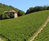 'Cantine Aperte 2010' alla Tenuta Folesano 