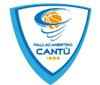 MSC Crociere silver sponsor della Pallacanestro Cantù