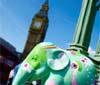 Debutta a Milano l'Elephant Parade