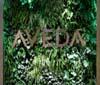 Aveda, filosofia ed eventi green