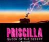 Aperte le trattative con sponsor e partner per il musical 'Priscilla la Regina del Deserto'