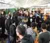 Lucca Comics and Games, edizione record con 155 mila visitatori 