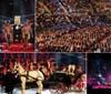 International Opera Award a Roma. Sponsor project and relation a cura di IMC Group-Mediavip