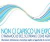 Assolombarda e Assorel, a Milano il convegno sul rapporto Expo e Impresa