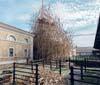 Enel Contemporanea 2012, al MACRO di Roma l'installazione 'Big Bambù'. 