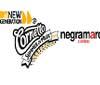 Scelti i 15 artisti del Cornetto Summer of Music Tour - negramaro Contest