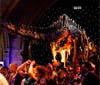 UK - The Natural History Museum hosts EAGE party